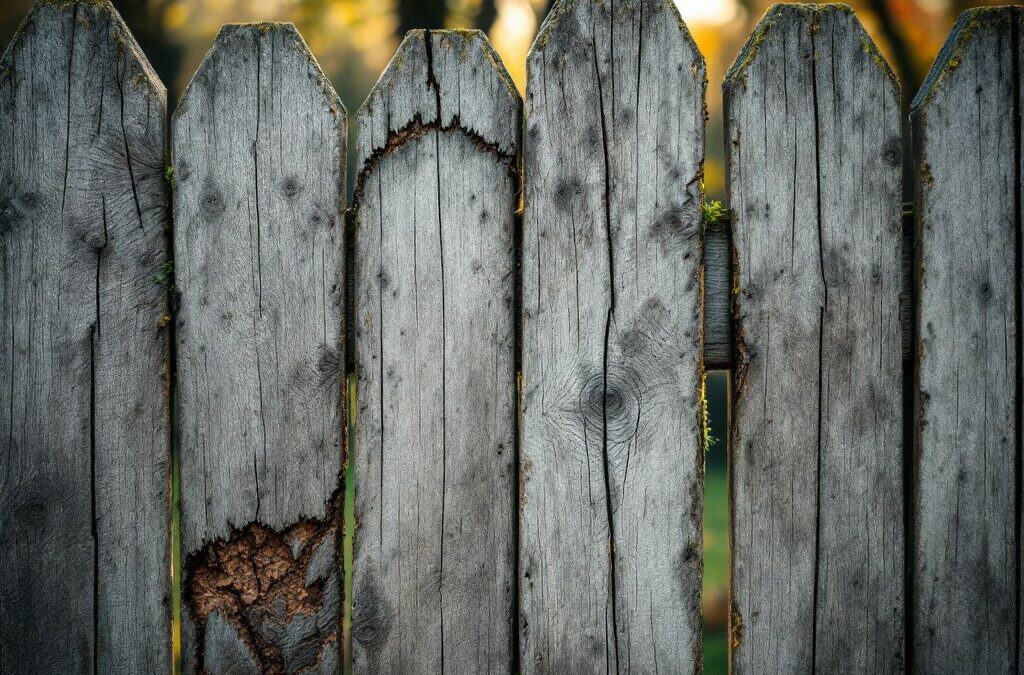 Time for a Change? Signs You Need to Replace or Maintain Your Fence