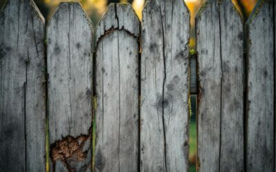 Time for a Change? Signs You Need to Replace or Maintain Your Fence